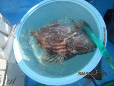 大洗丸の2026年2月14日(土)4枚目の写真