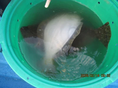 大洗丸の2026年2月14日(土)5枚目の写真