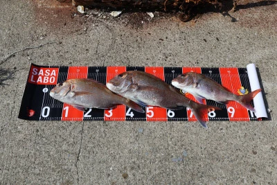 釣り船 魚英の2026年2月14日(土)4枚目の写真