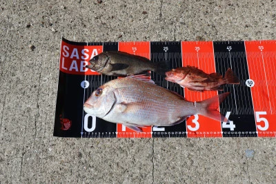 釣り船 魚英の2026年2月14日(土)5枚目の写真