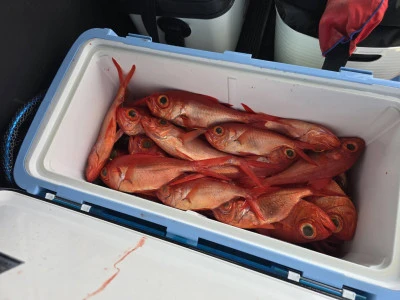 勇幸丸の2026年2月14日(土)2枚目の写真