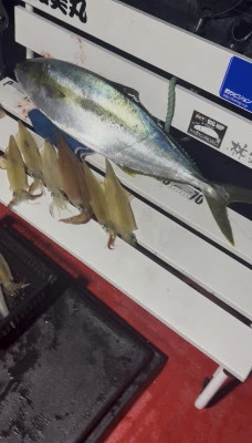 佑美丸の2026年2月12日(木)4枚目の写真