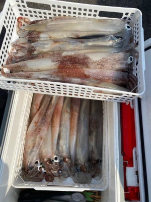 大春丸の2026年2月15日(日)3枚目の写真