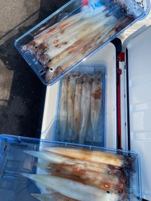 大春丸の2026年2月15日(日)4枚目の写真