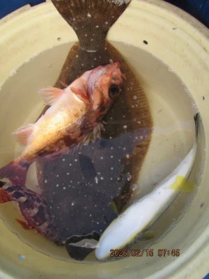 大洗丸の2026年2月15日(日)4枚目の写真