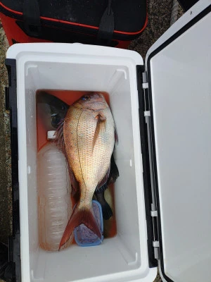 美代志丸の2026年2月14日(土)1枚目の写真