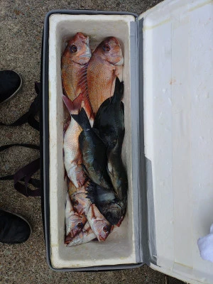 美代志丸の2026年2月14日(土)2枚目の写真