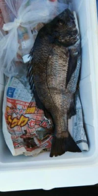 瀬渡し 浜栄丸の2026年2月15日(日)3枚目の写真