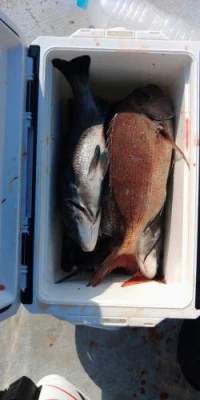 瀬渡し 浜栄丸の2026年2月15日(日)4枚目の写真