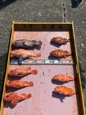 愛昌丸の2026年2月14日(土)5枚目の写真