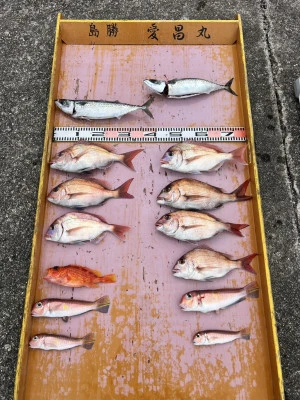 愛昌丸の2026年2月15日(日)2枚目の写真