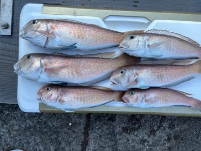 恵漁丸の2026年2月15日(日)1枚目の写真