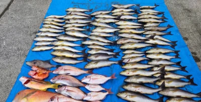 裕徳丸の2026年2月14日(土)1枚目の写真