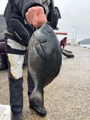 金盛丸の2026年2月14日(土)1枚目の写真