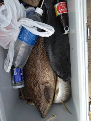 中山総合釣センター・海遊の2026年2月15日(日)4枚目の写真