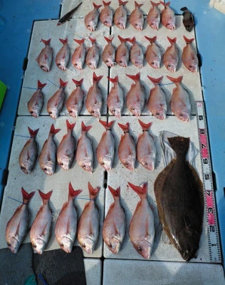 SUSIMARUの2026年2月7日(土)2枚目の写真