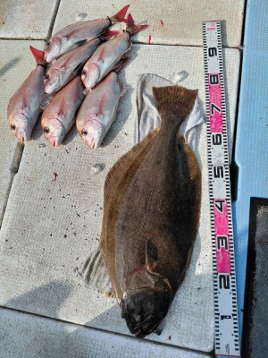 SUSIMARUの2026年2月7日(土)3枚目の写真