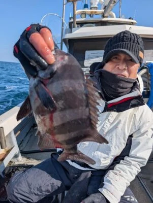 こざくら丸の2026年2月12日(木)1枚目の写真