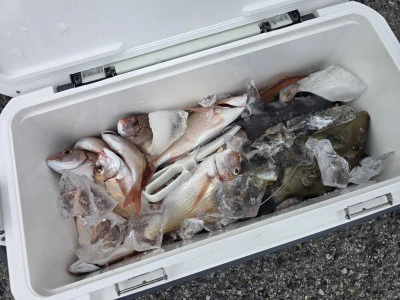 勇幸丸の2026年2月16日(月)1枚目の写真