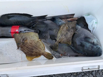 ふかしま丸の2026年2月13日(金)1枚目の写真