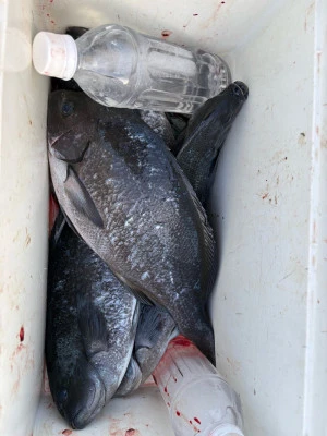 ふかしま丸の2026年2月13日(金)3枚目の写真