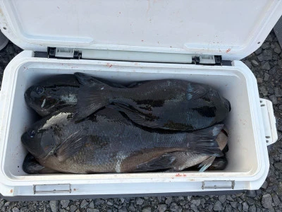 ふかしま丸の2026年2月12日(木)1枚目の写真