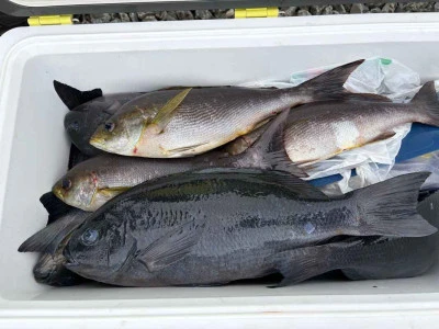 ふかしま丸の2026年2月10日(火)1枚目の写真