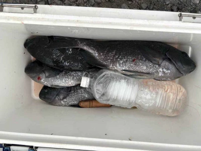 ふかしま丸の2026年2月10日(火)2枚目の写真