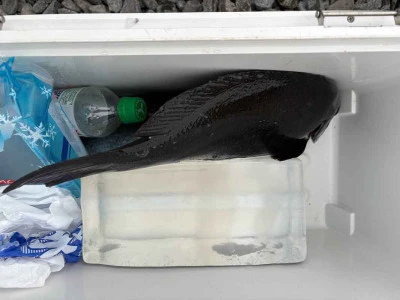 ふかしま丸の2026年2月10日(火)3枚目の写真