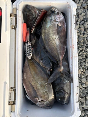 ふかしま丸の2026年2月8日(日)1枚目の写真