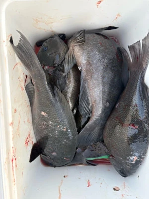 ふかしま丸の2026年2月8日(日)2枚目の写真