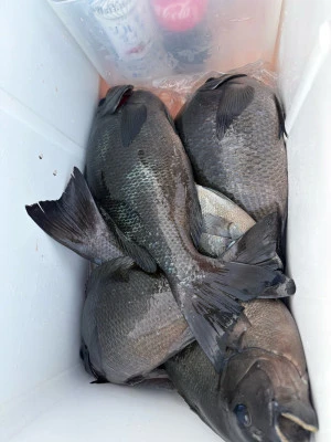 ふかしま丸の2026年2月8日(日)3枚目の写真