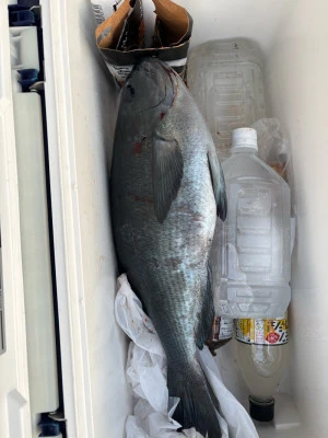 ふかしま丸の2026年2月8日(日)4枚目の写真