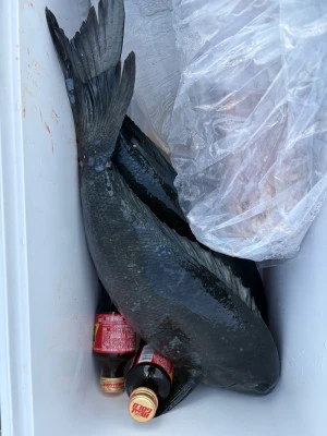 ふかしま丸の2026年2月8日(日)5枚目の写真