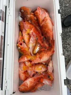 エンペラーの2026年2月15日(日)5枚目の写真