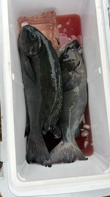 功丸の2026年2月14日(土)4枚目の写真