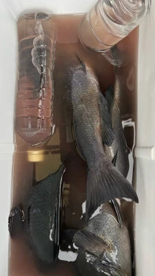 功丸の2026年2月14日(土)5枚目の写真