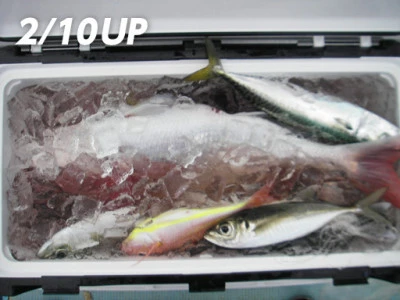 遊漁船日光の2026年2月10日(火)1枚目の写真