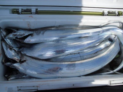 絢美丸の2026年2月14日(土)2枚目の写真