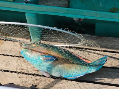 智栄丸の2026年2月16日(月)2枚目の写真