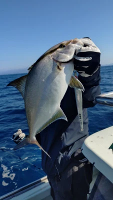 第三飛翔の2026年2月17日(火)2枚目の写真