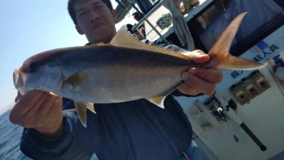 第三飛翔の2026年2月17日(火)4枚目の写真