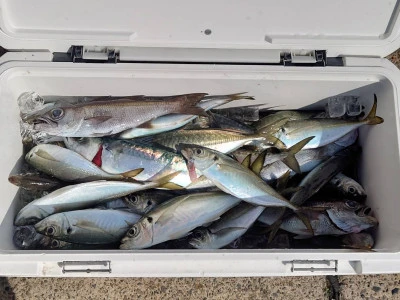 釣船 五郎丸の2026年2月18日(水)1枚目の写真