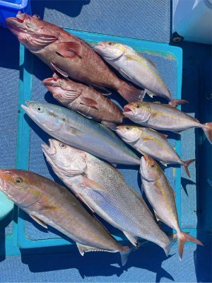 オーシャンサポートサービス 代々丸の2026年2月17日(火)4枚目の写真