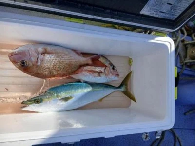 美喜丸の2026年2月14日(土)1枚目の写真