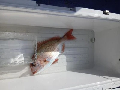 美喜丸の2026年2月14日(土)2枚目の写真