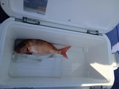 美喜丸の2026年2月14日(土)3枚目の写真