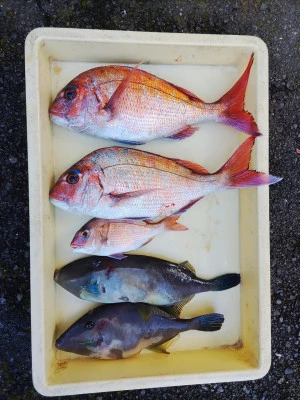 美代志丸の2026年2月15日(日)1枚目の写真