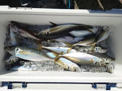 釣船 五郎丸の2026年2月19日(木)1枚目の写真