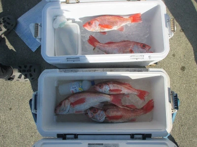 隆星丸の2026年2月15日(日)4枚目の写真